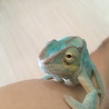 おでん