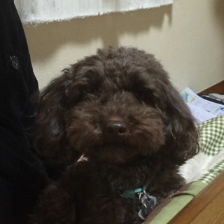 人なつっこいです
