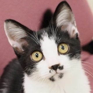 好奇心いっぱいのおちゃめボーイ★