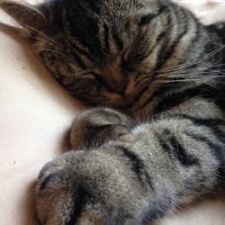 午後のひととき