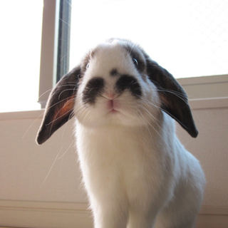 応募多数のため締め切りました