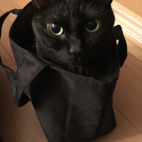 カナン