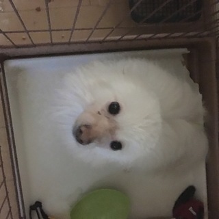 決定致しました。有難うございました