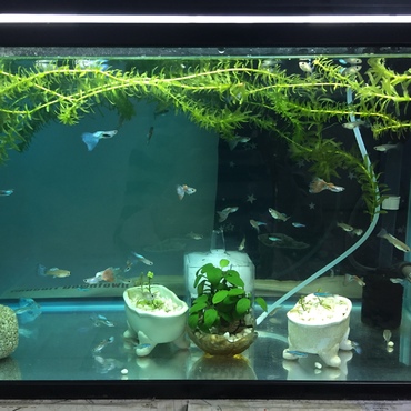 治療中