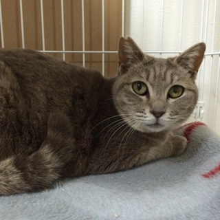 とても人馴れした女の子