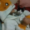 の写真