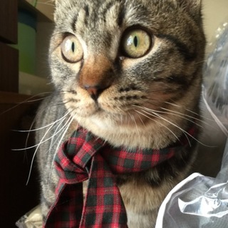 たくさんのご応募ありがとうございました。