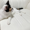 の写真