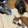  さん