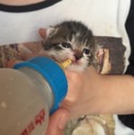 たくさんのご応募ありがとうございました。