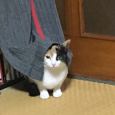 の写真