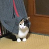 の写真