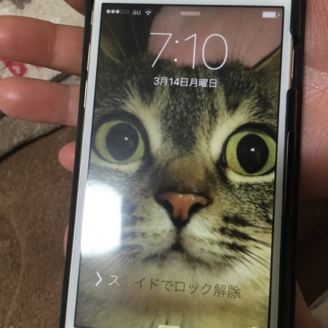 チャホのカバー写真