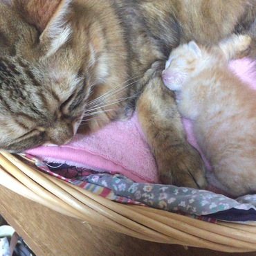 奇跡の1枚。しかし、お世話は全くしないマロン（笑）