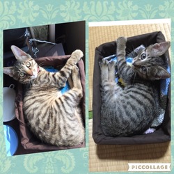 5ヶ月半になりました(^｡^)