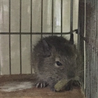 同時掲載のほうで決まりました。