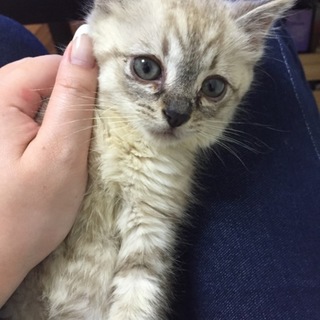 応募多数あり、締め切らせて頂きます！