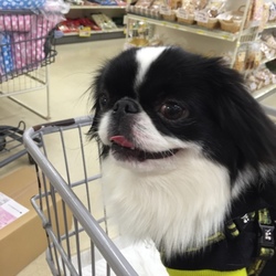 妹ができます\(//∇//)\