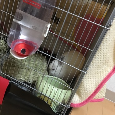 お迎え当日