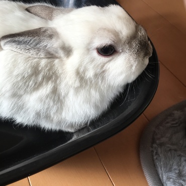 初めての体重測定