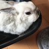 初めての体重測定