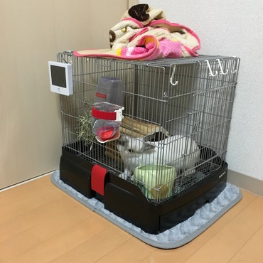 ごくごくおみず