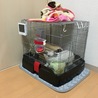 ごくごくおみず