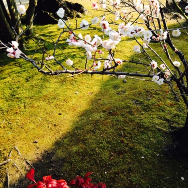 lily1220のカバー写真