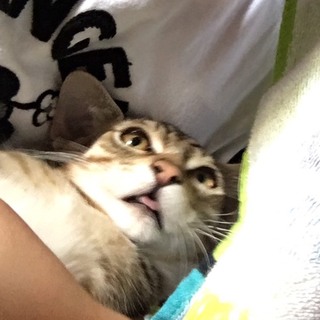 スマートで目の大きいイケメンさん♡