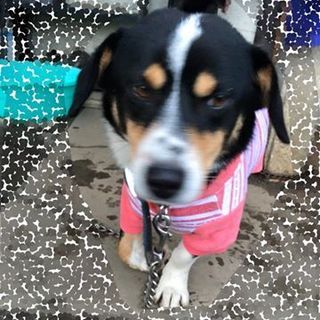 障害にもめげず陽気な望くん