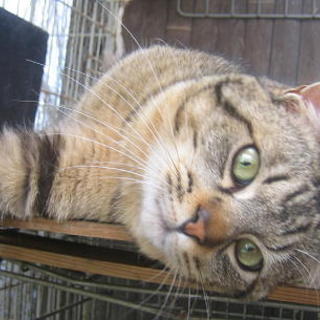 トムくん♪ 1歳 お寺で幸せにしていただきました