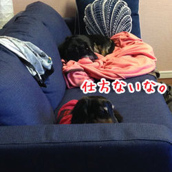 仲直り・・・？