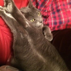 何、してるの…？(´,,・ω・,,｀)