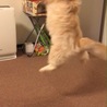 ジャンプ