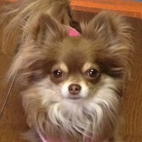 古都寧(ことね)