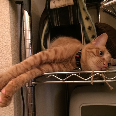 リラックスしてるよ