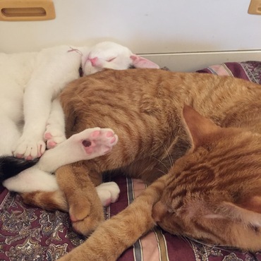 ソラちゃんと仲良くなったよ