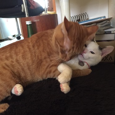 ソラちゃん、大好き〜