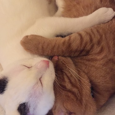 ぼくたち仲良し