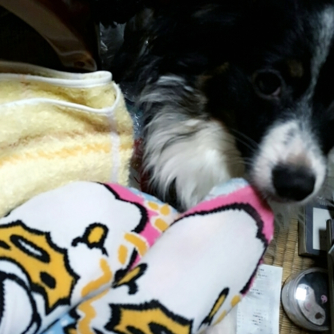 Rui666のカバー写真