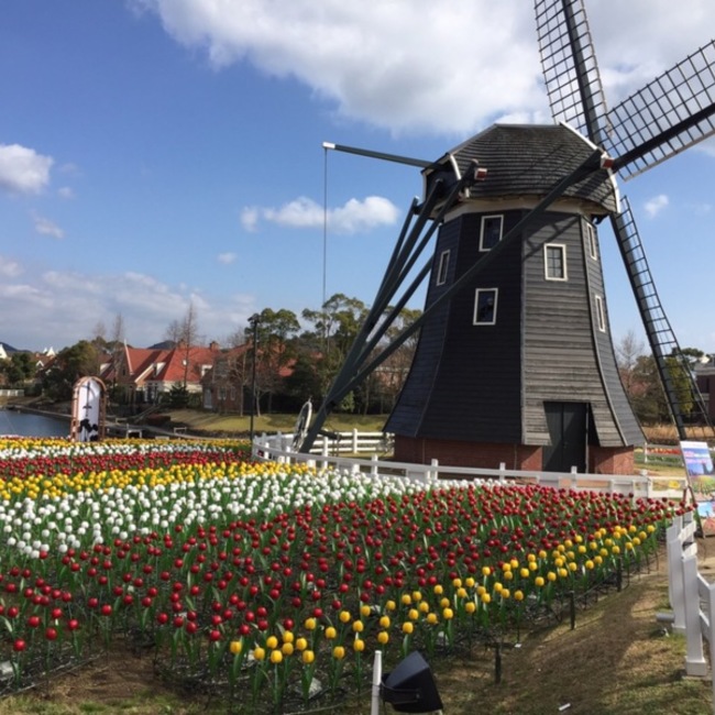 yaezakuraのカバー写真