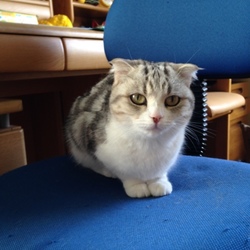 「ぴかちゃんが寝てるから…」サムネイル3