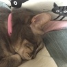 良く寝てます♪
