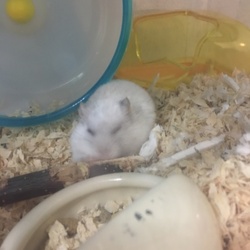 ありがとね
