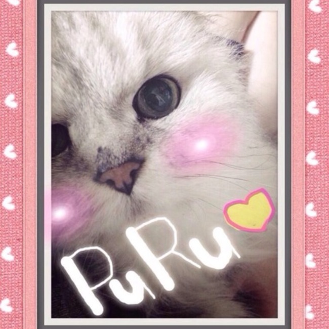 aya0608のカバー写真