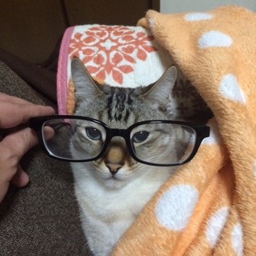 東大理Ⅲ受験します   キリッ