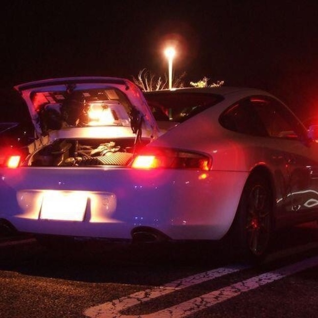 ローズソルトのカバー写真