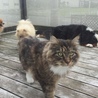 デッキにて日向ぼっこ