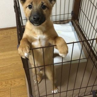 トライアル期間に入りました。一時募集を停止します。