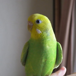 もしかして女の子？